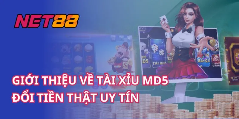 Tài xỉu Md5 NET88 https://blombilder.com/ là một trong những trò chơi cá cược phổ biến [...]